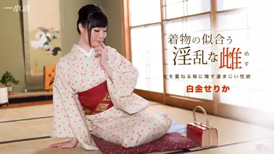 【091817_582】穿和服超正淫乱女 白金芹香